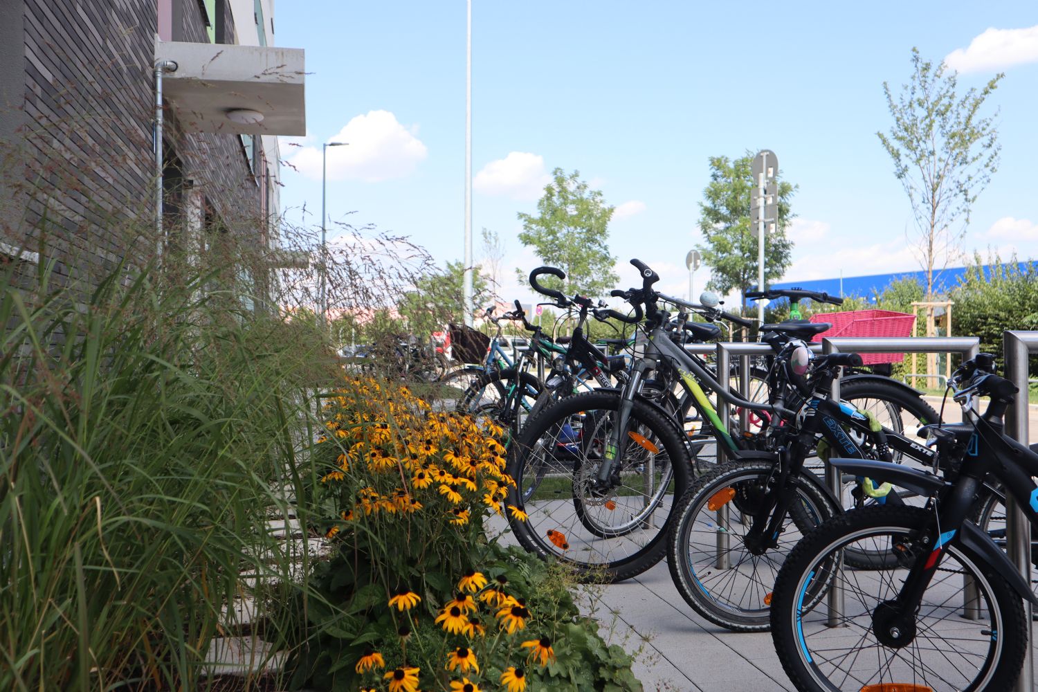 Fahrradstellplätze vor bereits bezogenen Wohnungen im Park überzeugen von einer guten Fahrrad Infrastruktur