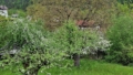 Blühende Apfelbäume auf dem Grundstück mit bewohnbarem Ferienhaus